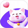 扑扑猫图标