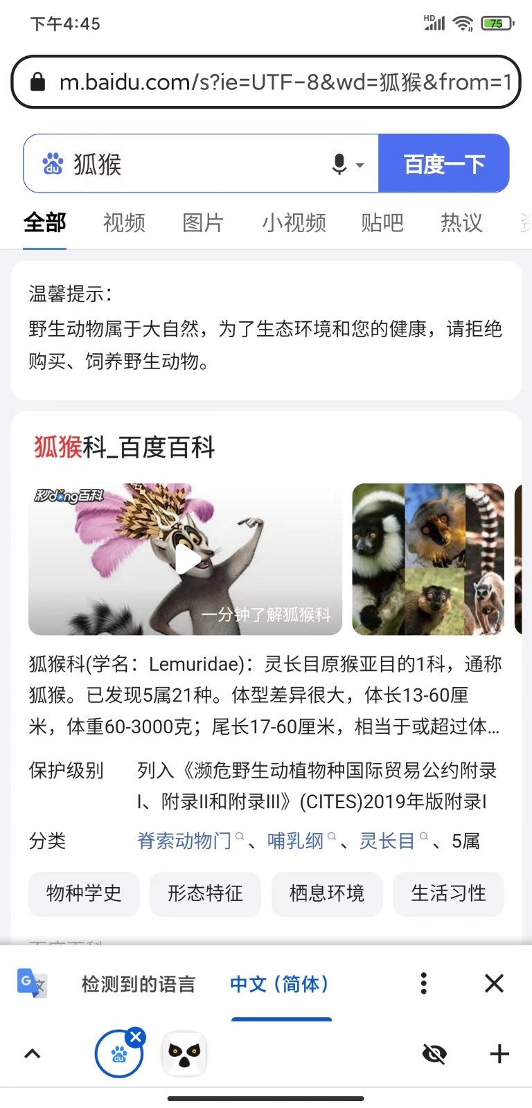 狐猴浏览器截图3
