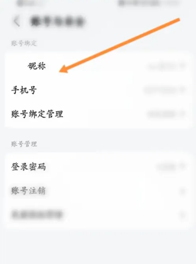 昵称选项