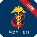 掌上单一窗口图标