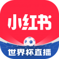 小红书官图标