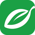 汕头橄榄台app图标