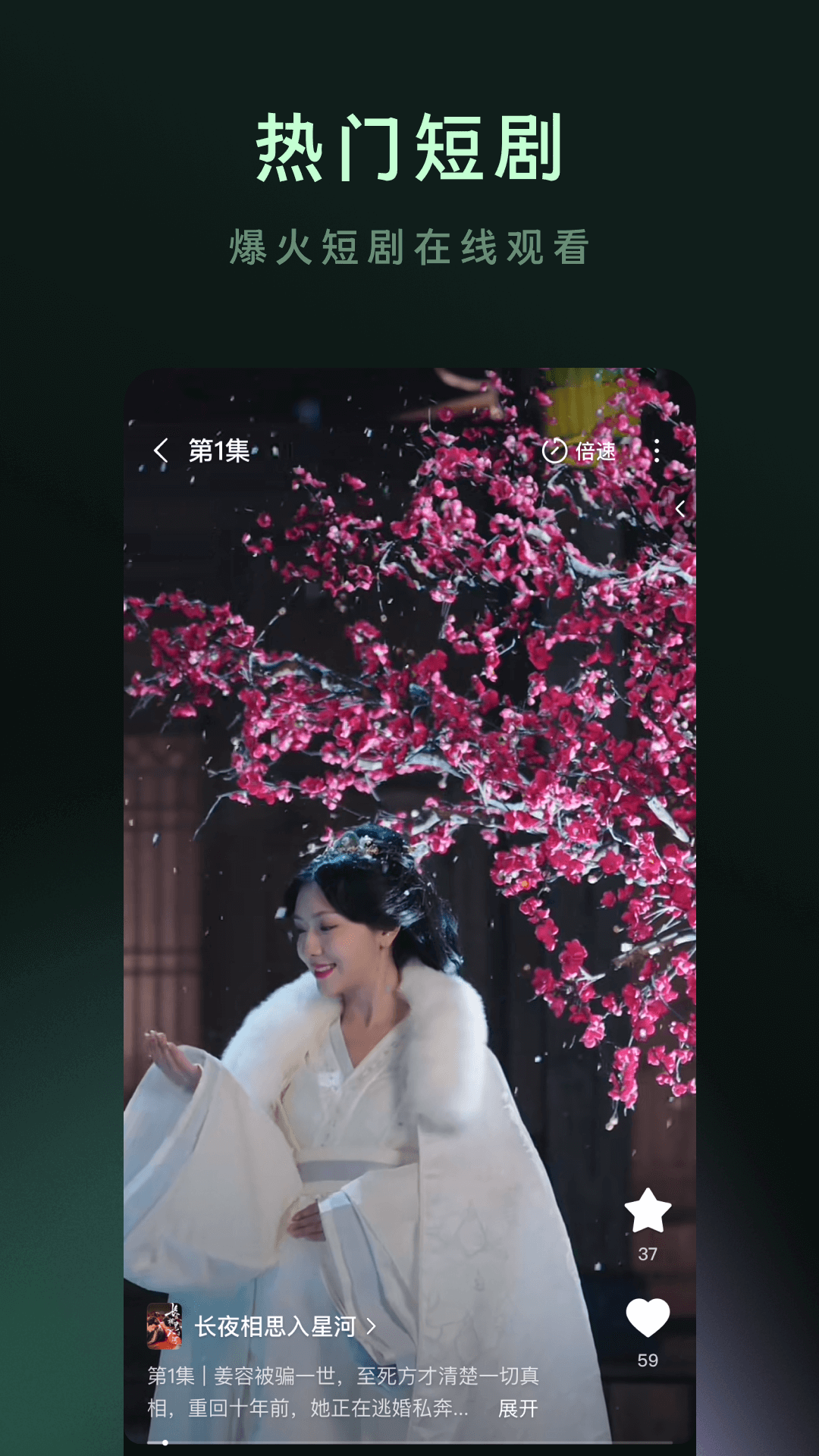 木叶免费短剧截图3