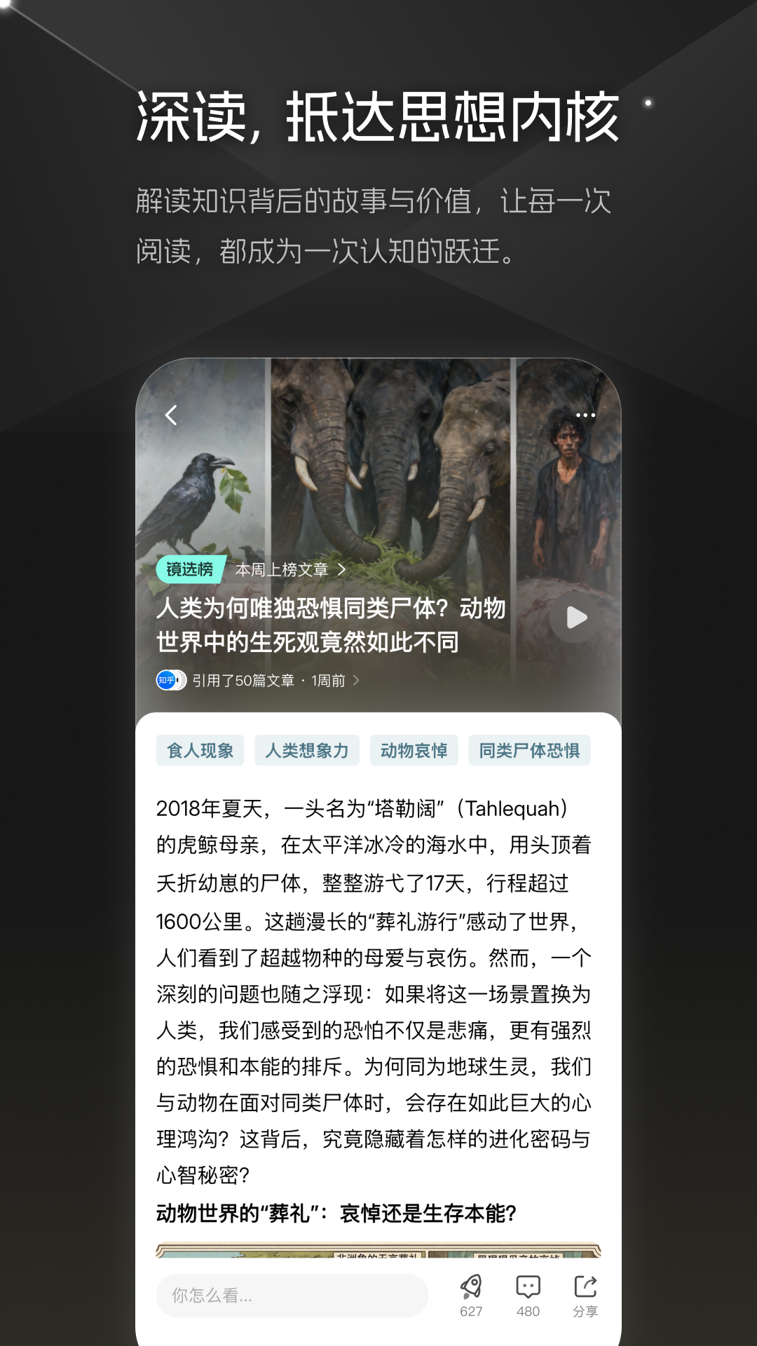 大圆镜app截图4