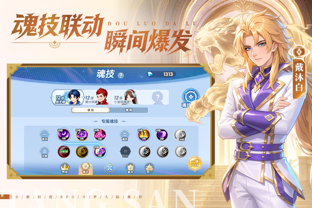 斗罗大陆传承截图3