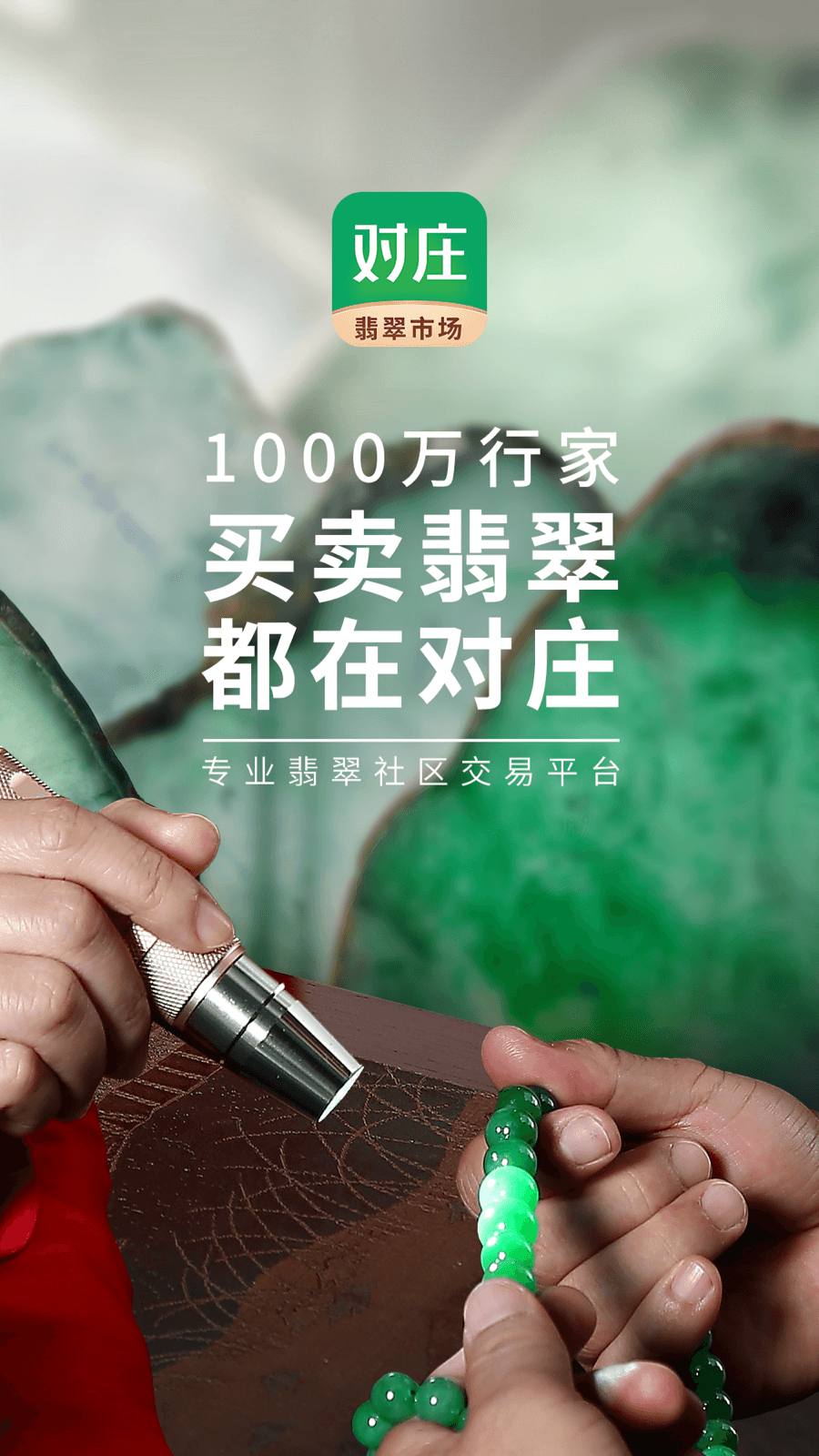 对庄翡翠app截图1